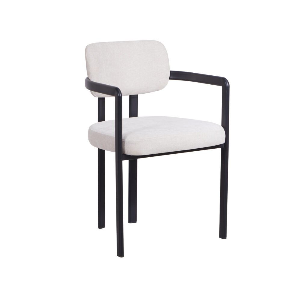 Dining Chair SDD-01