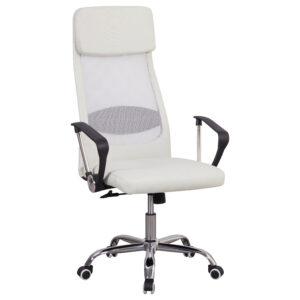 Dining Chair SDD-18